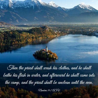Picture 03 - Numbers 19:7 ASV - Then the priest shall wash his clothes, and he - Bible Verse Picture