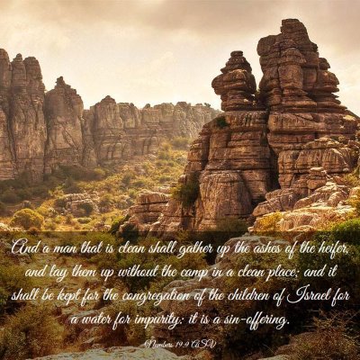 Picture 03 - Numbers 19:9 ASV - And a man that is clean shall gather up the ashes - Bible Verse Picture