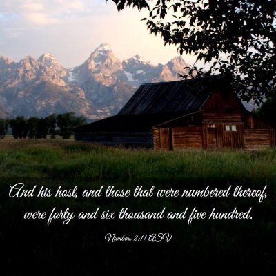 Picture 03 - Numbers 2:11 ASV - And his host, and those that were numbered - Bible Verse Picture