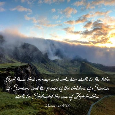 Picture 03 - Numbers 2:12 ASV - And those that encamp next unto him shall be the - Bible Verse Picture