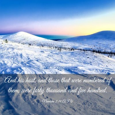 Picture 03 - Numbers 2:19 ASV - And his host, and those that were numbered of - Bible Verse Picture
