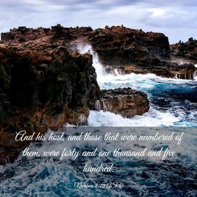Picture 03 - Numbers 2:28 ASV - And his host, and those that were numbered of - Bible Verse Picture