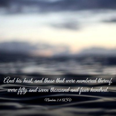 Picture 03 - Numbers 2:8 ASV - And his host, and those that were numbered - Bible Verse Picture