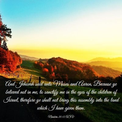 Picture 03 - Numbers 20:12 ASV - And Jehovah said unto Moses and Aaron, Because ye - Bible Verse Picture