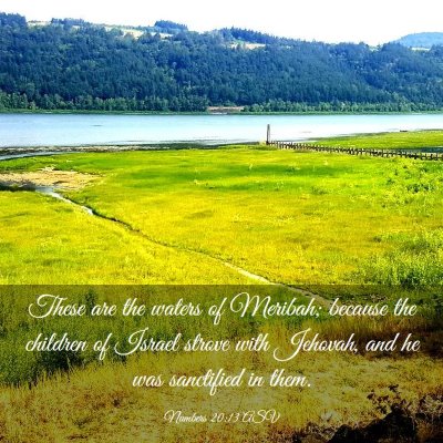 Picture 03 - Numbers 20:13 ASV - These are the waters of Meribah; because the - Bible Verse Picture