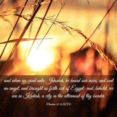 Picture 03 - Numbers 20:16 ASV - and when we cried unto Jehovah, he heard our - Bible Verse Picture