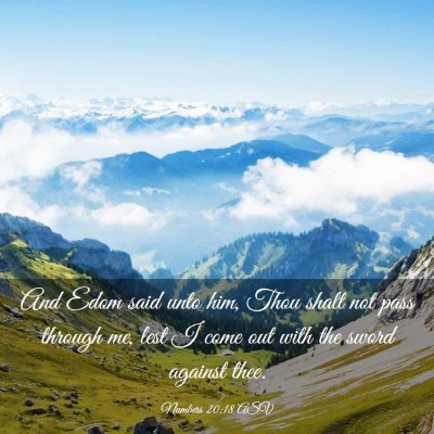 Picture 03 - Numbers 20:18 ASV - And Edom said unto him, Thou shalt not pass - Bible Verse Picture