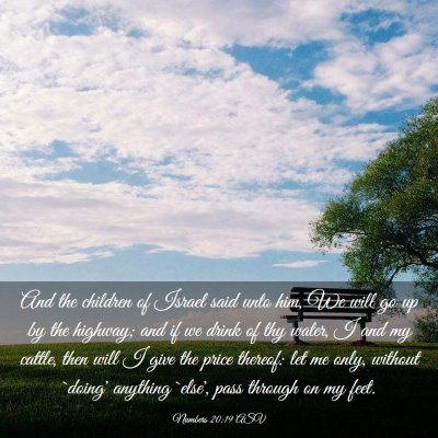 Picture 03 - Numbers 20:19 ASV - And the children of Israel said unto him, We will - Bible Verse Picture