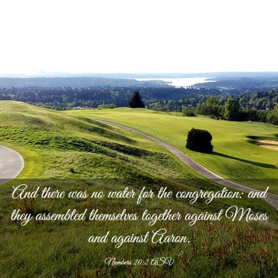 Picture 03 - Numbers 20:2 ASV - And there was no water for the congregation: and - Bible Verse Picture