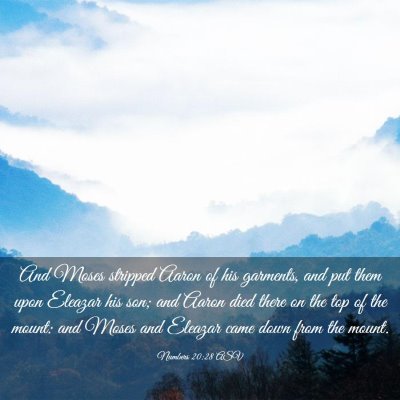 Picture 03 - Numbers 20:28 ASV - And Moses stripped Aaron of his garments, and put - Bible Verse Picture