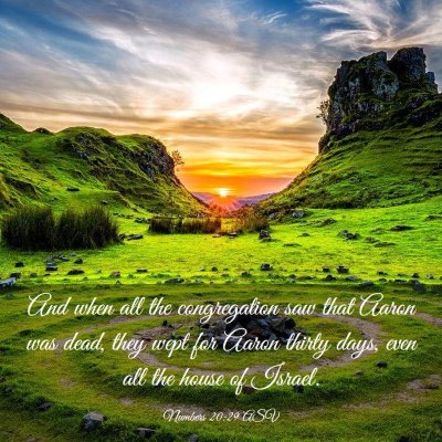 Picture 03 - Numbers 20:29 ASV - And when all the congregation saw that Aaron was - Bible Verse Picture