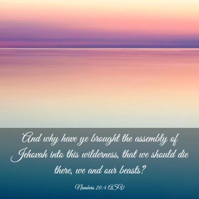 Picture 03 - Numbers 20:4 ASV - And why have ye brought the assembly of Jehovah - Bible Verse Picture