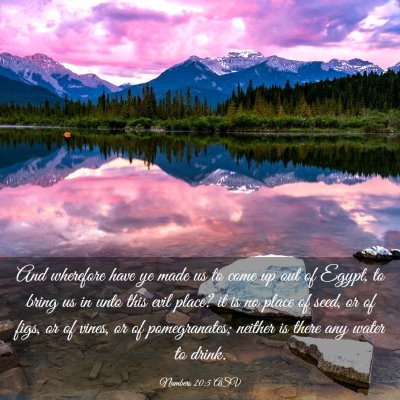 Picture 03 - Numbers 20:5 ASV - And wherefore have ye made us to come up out of - Bible Verse Picture