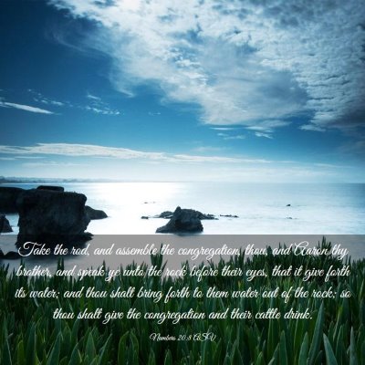 Picture 03 - Numbers 20:8 ASV - Take the rod, and assemble the congregation, - Bible Verse Picture