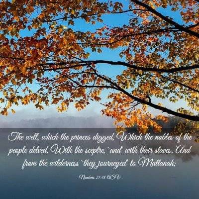 Picture 03 - Numbers 21:18 ASV - The well, which the princes digged, Which the - Bible Verse Picture