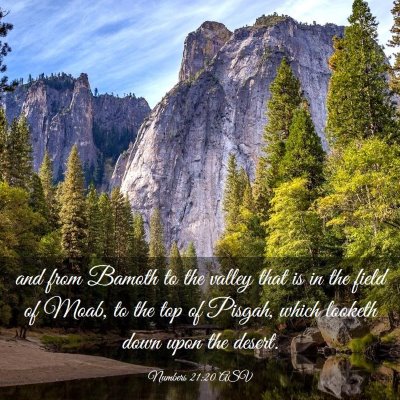 Picture 03 - Numbers 21:20 ASV - and from Bamoth to the valley that is in the - Bible Verse Picture