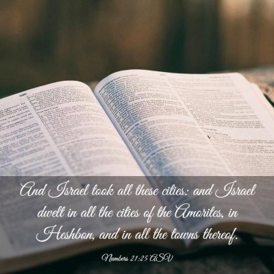 Picture 03 - Numbers 21:25 ASV - And Israel took all these cities: and Israel - Bible Verse Picture