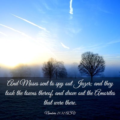 Picture 03 - Numbers 21:32 ASV - And Moses sent to spy out Jazer; and they took - Bible Verse Picture
