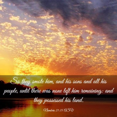 Picture 03 - Numbers 21:35 ASV - So they smote him, and his sons and all his - Bible Verse Picture