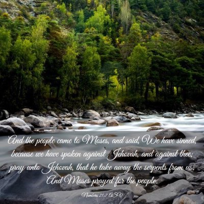 Picture 03 - Numbers 21:7 ASV - And the people came to Moses, and said, We have - Bible Verse Picture