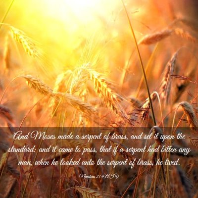 Picture 03 - Numbers 21:9 ASV - And Moses made a serpent of brass, and set it - Bible Verse Picture
