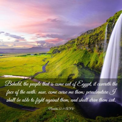 Picture 03 - Numbers 22:11 ASV - Behold, the people that is come out of Egypt, it - Bible Verse Picture
