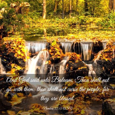Picture 03 - Numbers 22:12 ASV - And God said unto Balaam, Thou shalt not go with - Bible Verse Picture