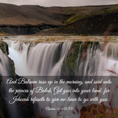 Picture 03 - Numbers 22:13 ASV - And Balaam rose up in the morning, and said unto - Bible Verse Picture