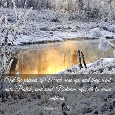 Picture 03 - Numbers 22:14 ASV - And the princes of Moab rose up, and they went - Bible Verse Picture