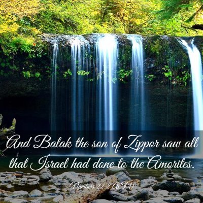 Picture 03 - Numbers 22:2 ASV - And Balak the son of Zippor saw all that Israel - Bible Verse Picture