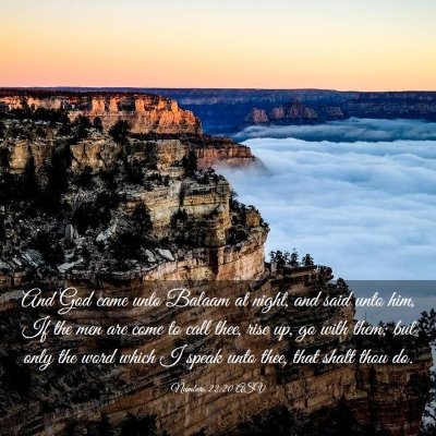 Picture 03 - Numbers 22:20 ASV - And God came unto Balaam at night, and said unto - Bible Verse Picture
