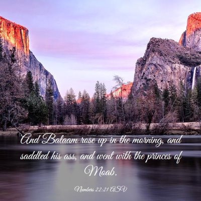 Picture 03 - Numbers 22:21 ASV - And Balaam rose up in the morning, and saddled - Bible Verse Picture