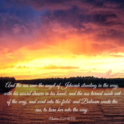 Picture 03 - Numbers 22:23 ASV - And the ass saw the angel of Jehovah standing in - Bible Verse Picture