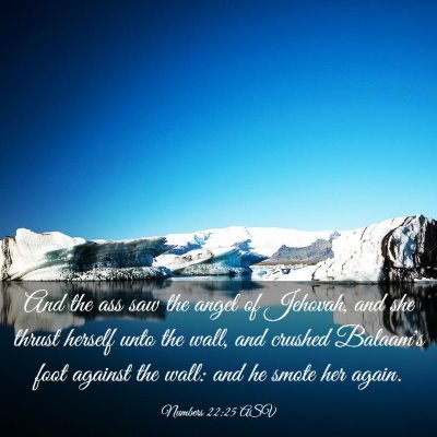 Picture 03 - Numbers 22:25 ASV - And the ass saw the angel of Jehovah, and she - Bible Verse Picture