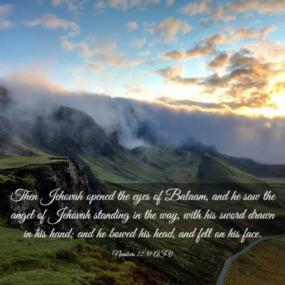 Picture 03 - Numbers 22:31 ASV - Then Jehovah opened the eyes of Balaam, and he - Bible Verse Picture