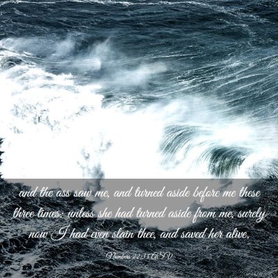 Picture 03 - Numbers 22:33 ASV - and the ass saw me, and turned aside before me - Bible Verse Picture