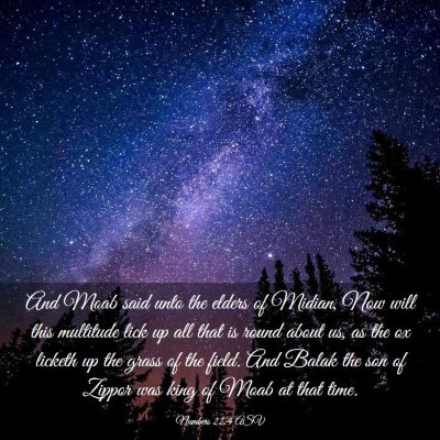 Picture 03 - Numbers 22:4 ASV - And Moab said unto the elders of Midian, Now will - Bible Verse Picture