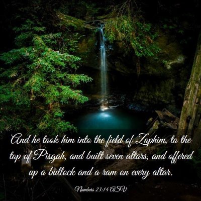 Picture 03 - Numbers 23:14 ASV - And he took him into the field of Zophim, to the - Bible Verse Picture