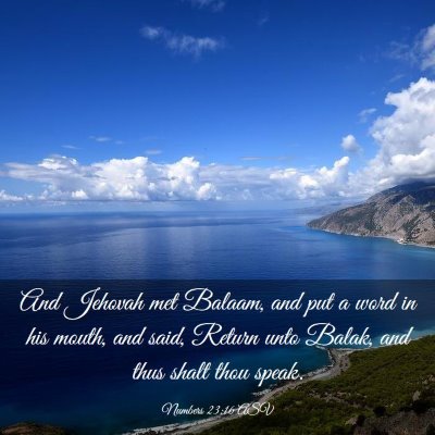 Picture 03 - Numbers 23:16 ASV - And Jehovah met Balaam, and put a word in his - Bible Verse Picture