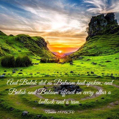 Picture 03 - Numbers 23:2 ASV - And Balak did as Balaam had spoken; and Balak and - Bible Verse Picture