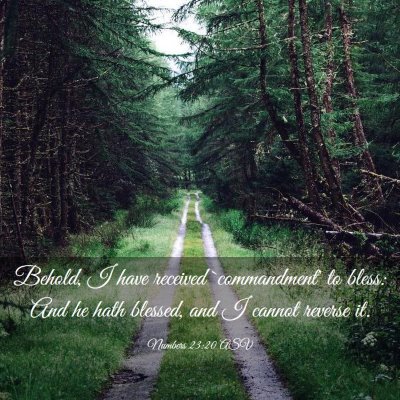 Picture 03 - Numbers 23:20 ASV - Behold, I have received `commandment' to bless: - Bible Verse Picture