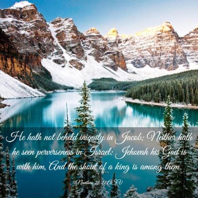 Picture 03 - Numbers 23:21 ASV - He hath not beheld iniquity in Jacob; Neither - Bible Verse Picture