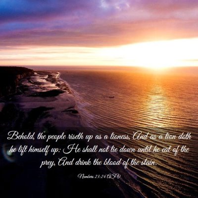 Picture 03 - Numbers 23:24 ASV - Behold, the people riseth up as a lioness, And as - Bible Verse Picture