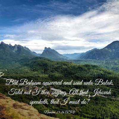 Picture 03 - Numbers 23:26 ASV - But Balaam answered and said unto Balak, Told not - Bible Verse Picture