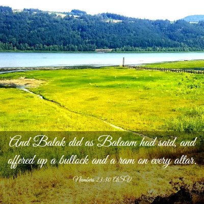 Picture 03 - Numbers 23:30 ASV - And Balak did as Balaam had said, and offered up - Bible Verse Picture