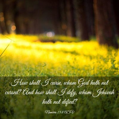 Picture 03 - Numbers 23:8 ASV - How shall I curse, whom God hath not cursed? And - Bible Verse Picture