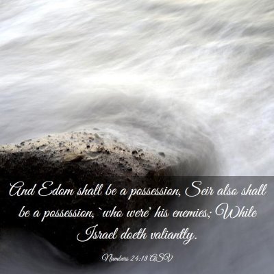 Picture 03 - Numbers 24:18 ASV - And Edom shall be a possession, Seir also shall - Bible Verse Picture