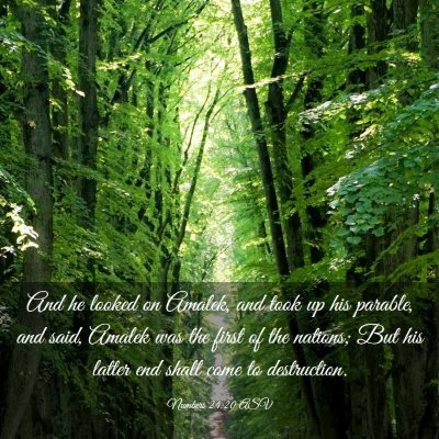 Picture 03 - Numbers 24:20 ASV - And he looked on Amalek, and took up his parable, - Bible Verse Picture