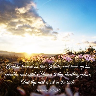 Picture 03 - Numbers 24:21 ASV - And he looked on the Kenite, and took up his - Bible Verse Picture