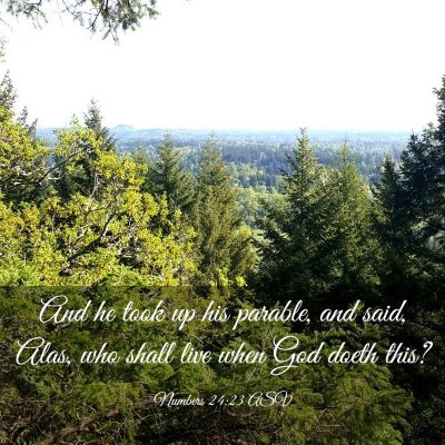 Picture 03 - Numbers 24:23 ASV - And he took up his parable, and said, Alas, who - Bible Verse Picture
